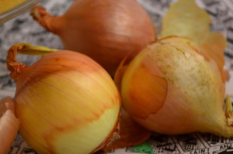 oignons3