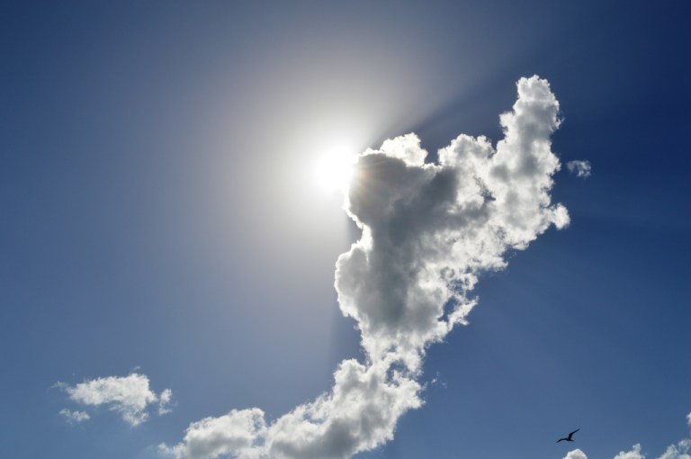 ????????????????????????????????????