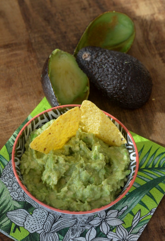 guacamole6